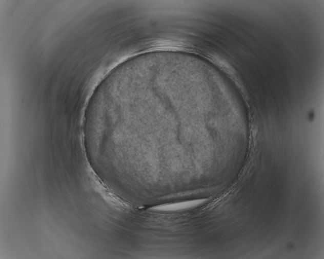 X0000115601427200912081103