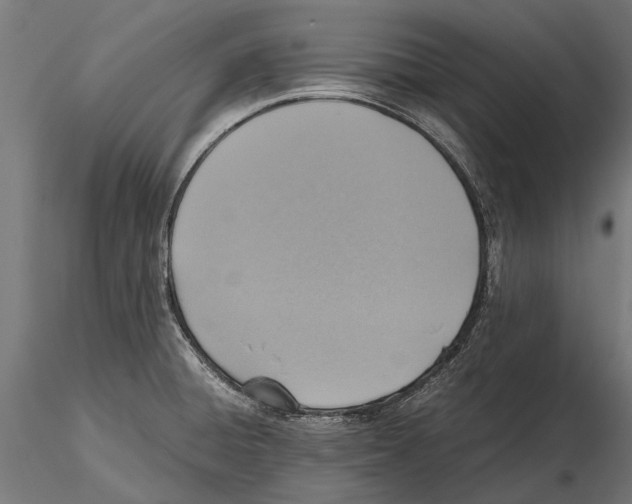 X0000115601428200912081103