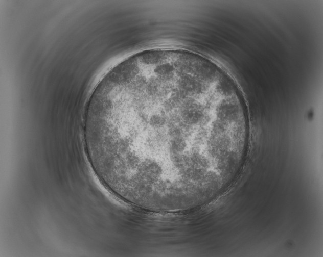 X0000115601429200912081103