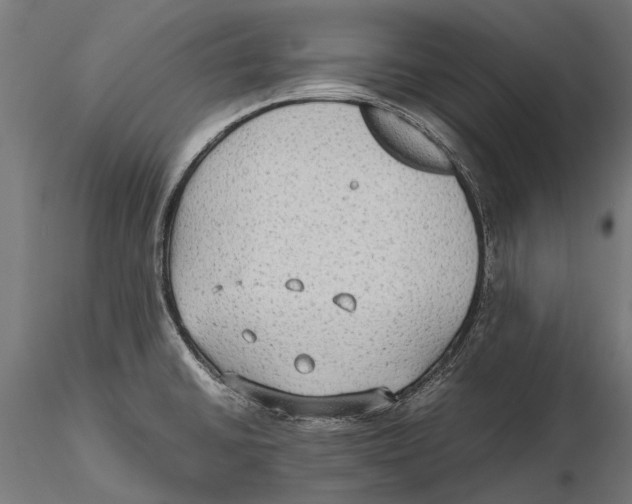 X0000115601430200912081103