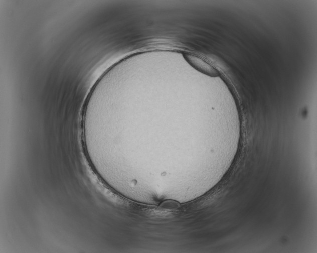 X0000115601431200912081103