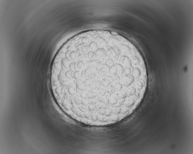 X0000115601432200912081103