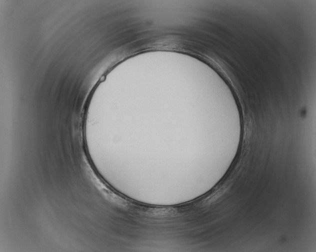 X0000115601434200912081103