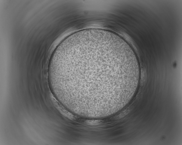 X0000115601435200912081103