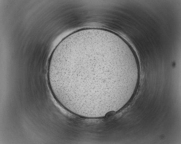 X0000115601437200912081103