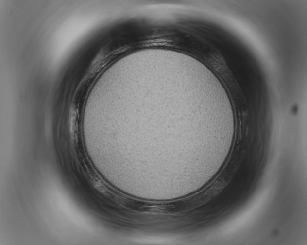 X0000115601438200912081103