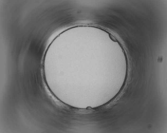 X0000115601440200912081103