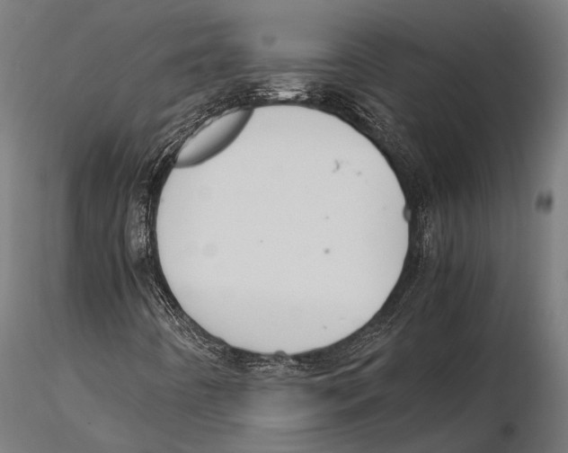 X0000115601442200912081102