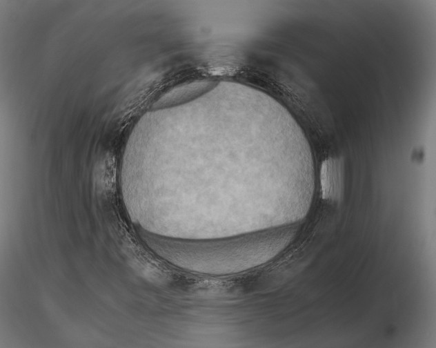 X0000115601443200912081102