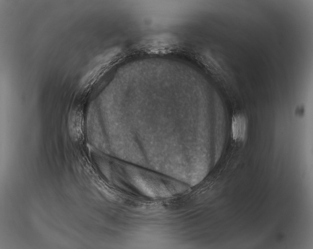 X0000115601444200912081102