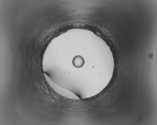 X0000115601445200912081102