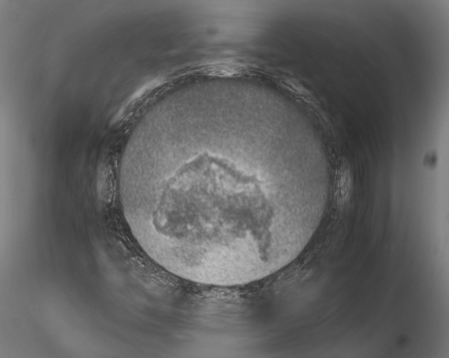 X0000115601446200912081102