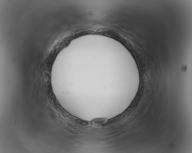 X0000115601447200912081102