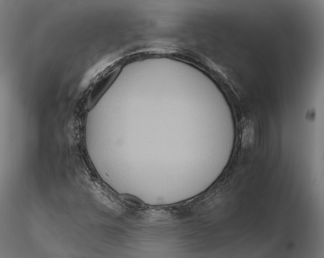 X0000115601448200912081102