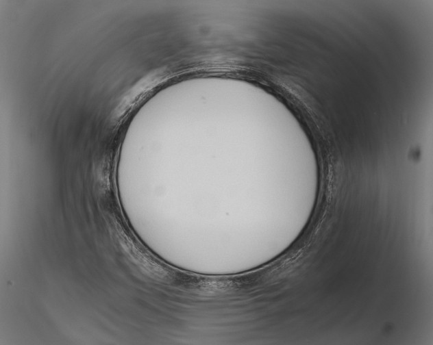 X0000115601451200912081102