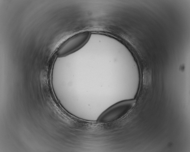 X0000115601452200912081102