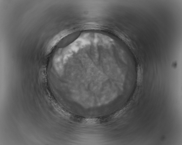 X0000115601453200912081102