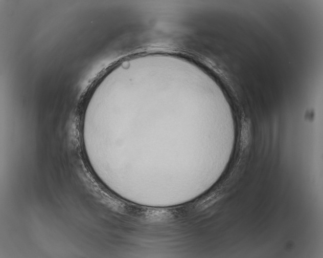 X0000115601454200912081102