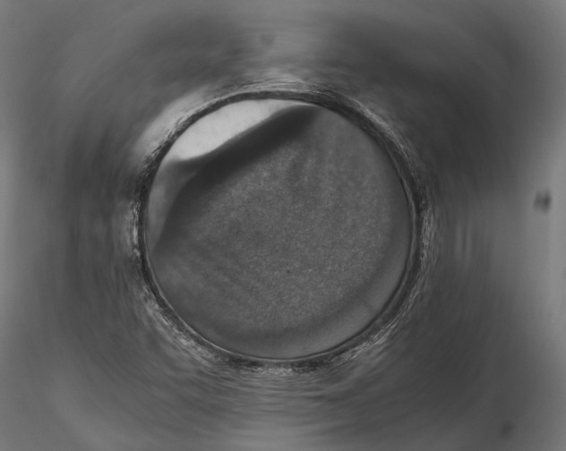 X0000115601455200912081102