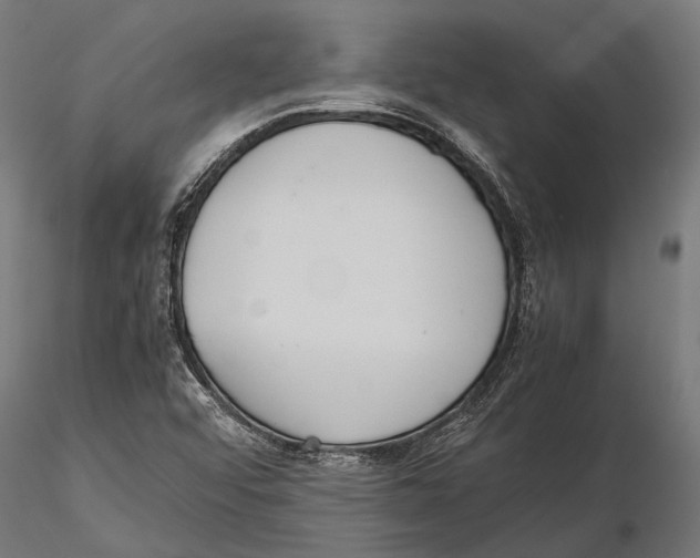 X0000115601456200912081102