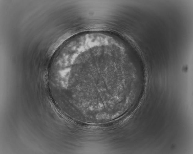 X0000115601457200912081102