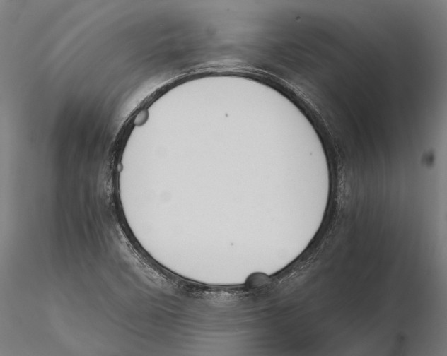 X0000115601458200912081102