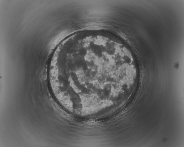 X0000115601459200912081102