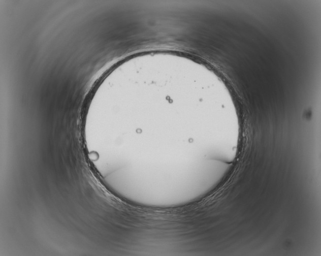 X0000115601460200912081102