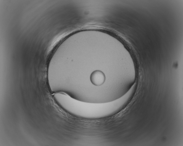 X0000115601461200912081102