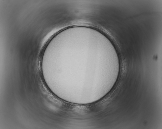 X0000115601462200912081102