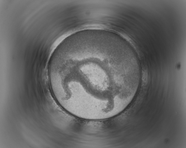 X0000115601466200912081102