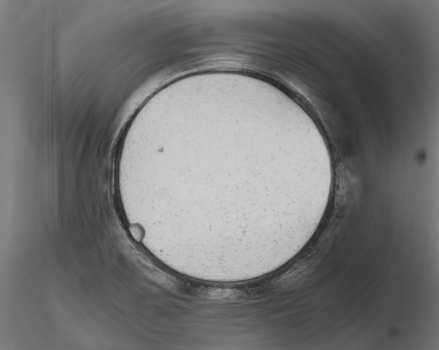 X0000115601467200912081102