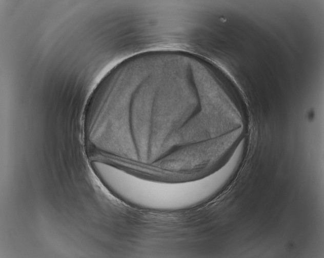 X0000115601468200912081102