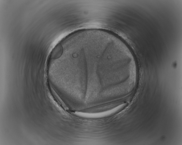 X0000115601469200912081102