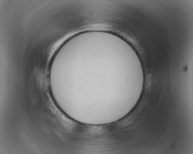 X0000115601470200912081102