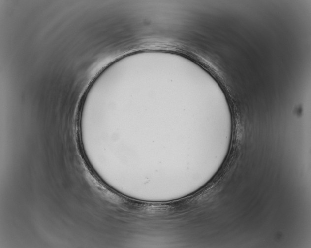 X0000115601471200912081102