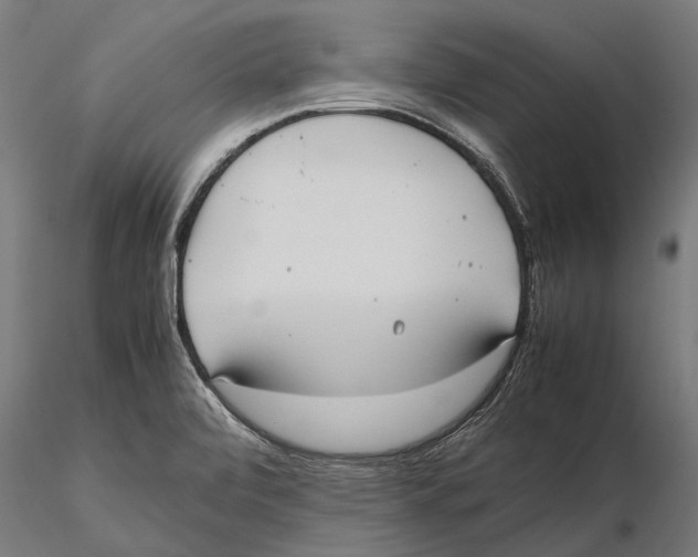 X0000115601472200912081102