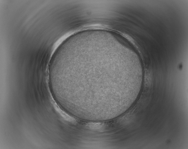 X0000115601474200912081102