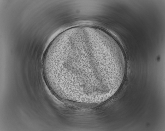 X0000115601475200912081102