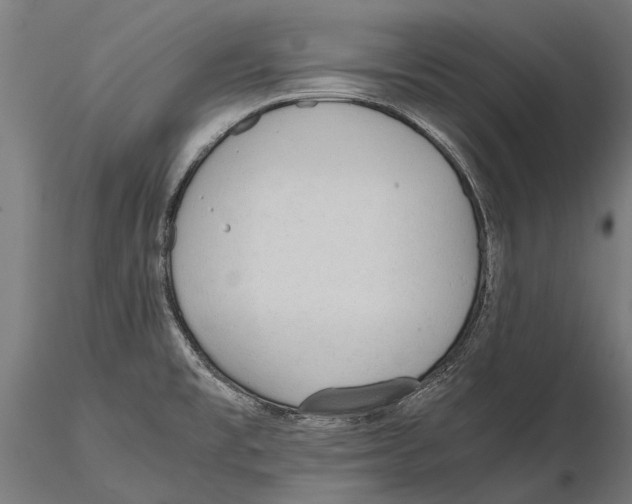 X0000115601477200912081102