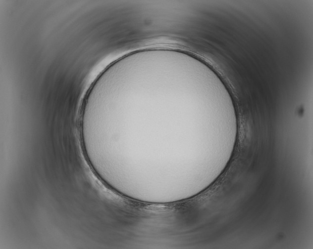 X0000115601478200912081102