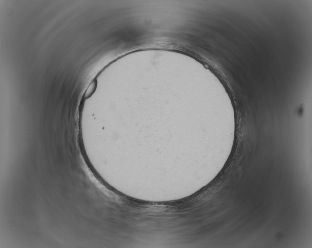 X0000115601479200912081102