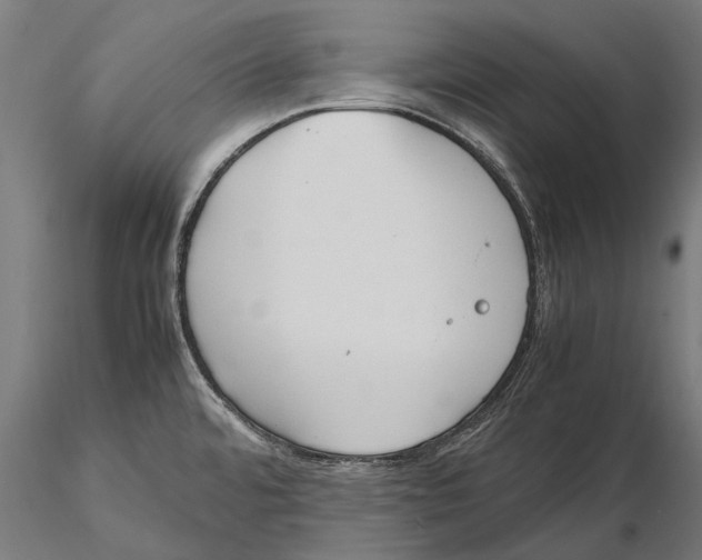 X0000115601480200912081102