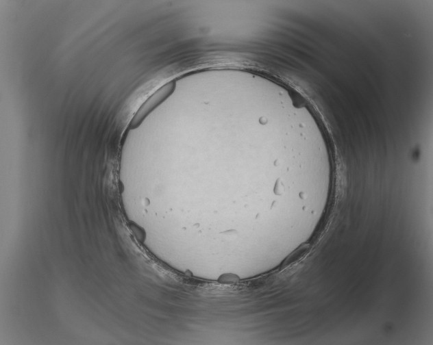 X0000115601481200912081102