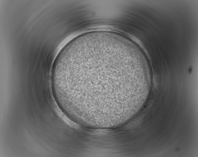 X0000115601482200912081102