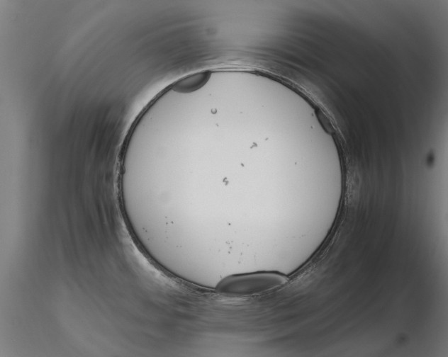 X0000115601484200912081102