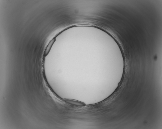 X0000115601485200912081102