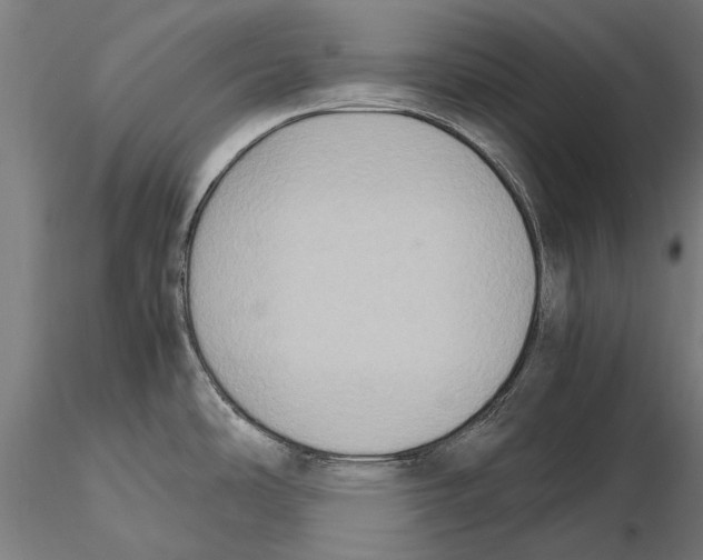 X0000115601486200912081102