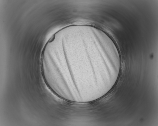 X0000115601487200912081102