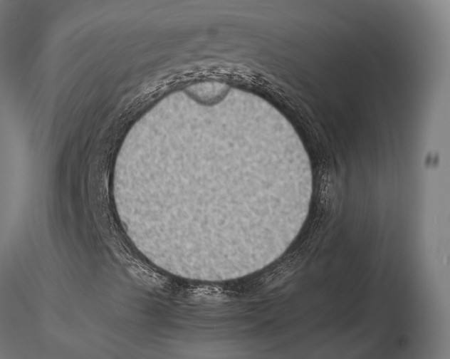 X0000115601489200912081101